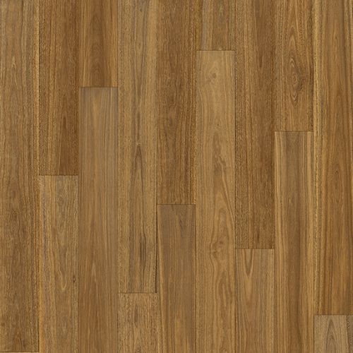 Savannah Spotted Gum 634m